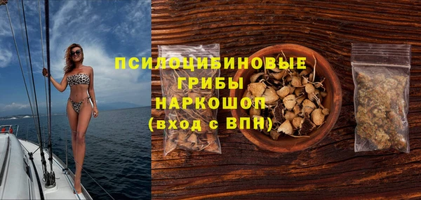 герыч Каменногорск