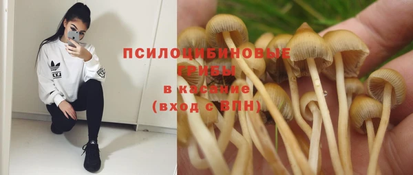 герыч Каменногорск