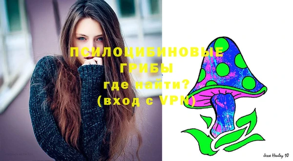 герыч Каменногорск