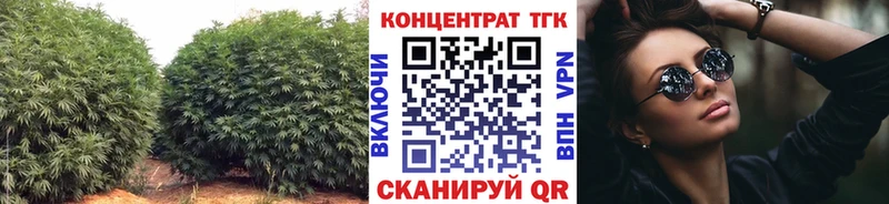 даркнет сайт  кракен ТОР  ТГК жижа  Одинцово 